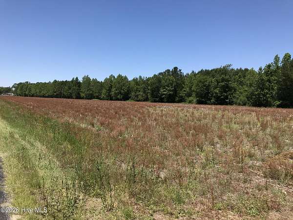 19.5 Acres of Recreational & Residential Land for Sale in Ash, North Carolina