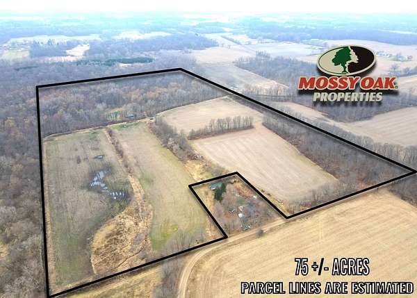 75 Acres of Recreational Land for Auction in Tekonsha, Michigan