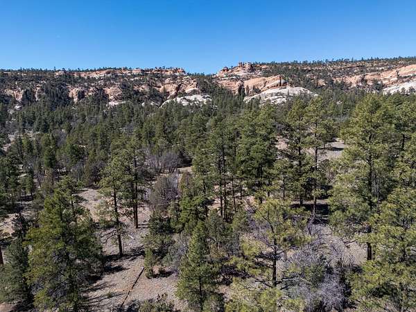 10.6 Acres of Land for Sale in Ramah, New Mexico