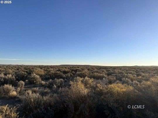 20 Acres of Land for Sale in Christmas Valley, Oregon