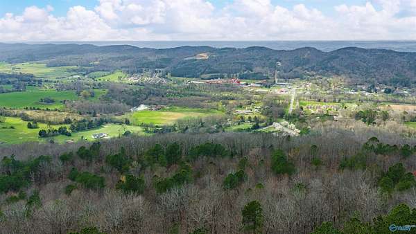 37.2 Acres of Recreational Land for Sale in Collinsville, Alabama