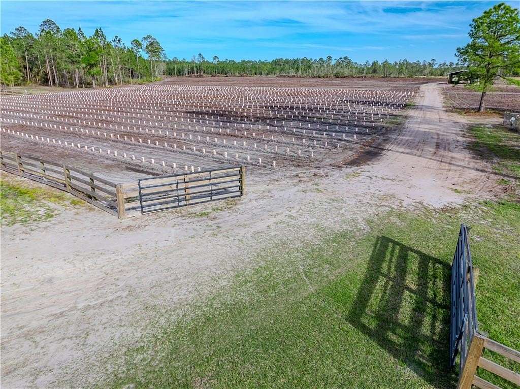 28.2 Acres of Agricultural Land for Sale in Waycross, Georgia