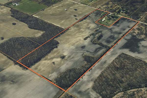 74.3 Acres of Land for Sale in Emmett, Michigan