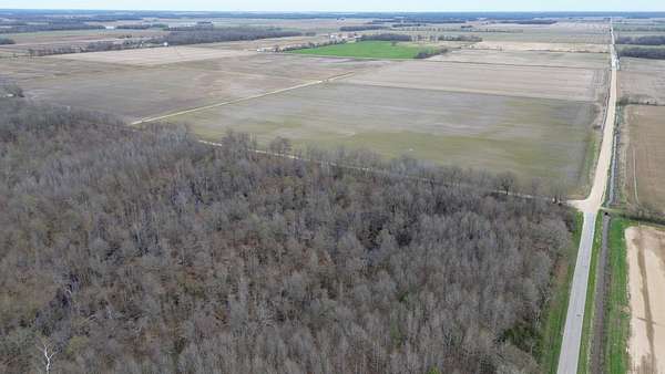 40 Acres of Recreational Land for Sale in Neelyville, Missouri