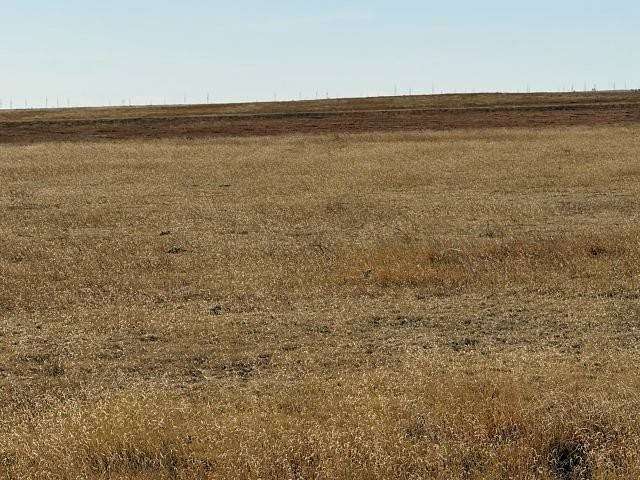 640 Acres of Agricultural Land for Sale in Flagler, Colorado