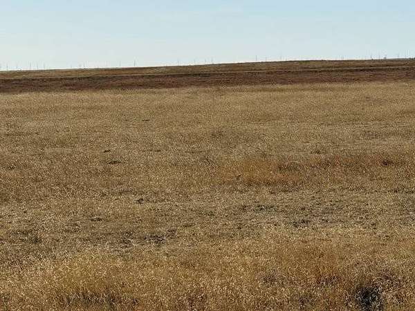 640 Acres of Agricultural Land for Sale in Flagler, Colorado