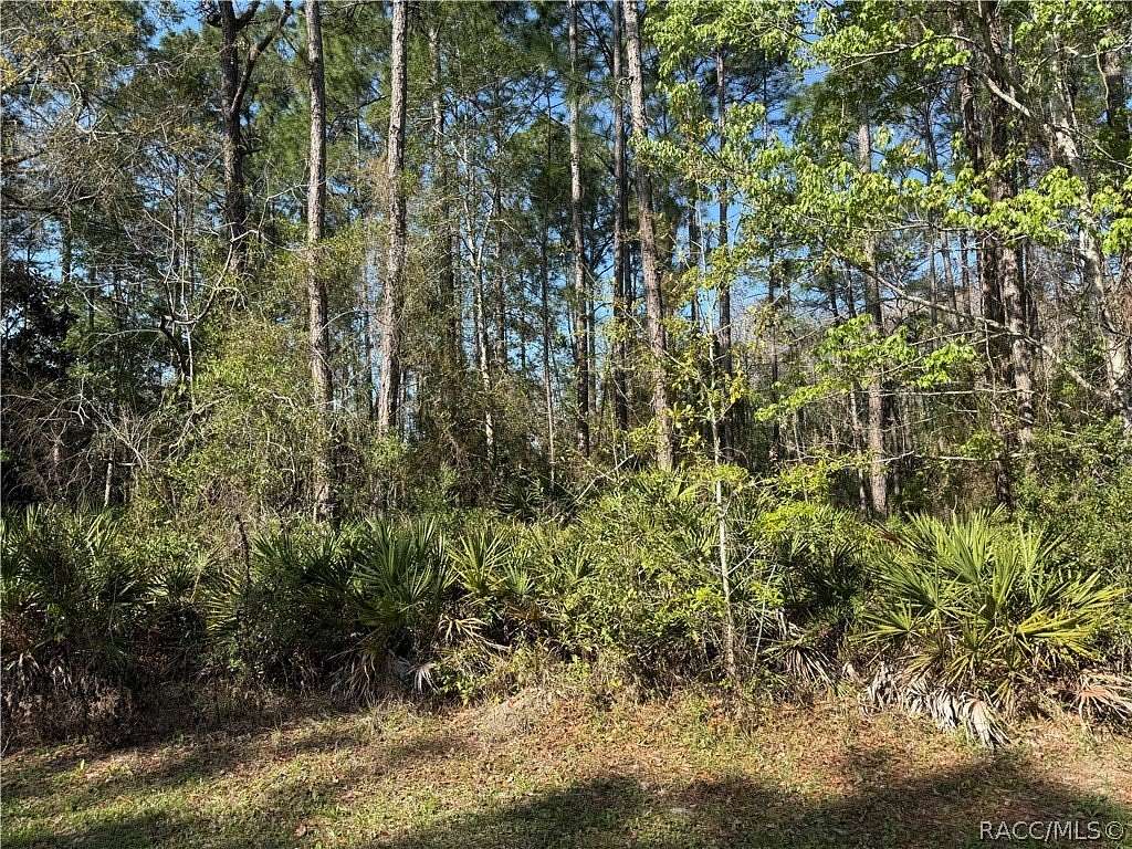 0.27 Acres of Residential Land for Sale in Homosassa, Florida