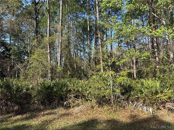 0.27 Acres of Residential Land for Sale in Homosassa, Florida
