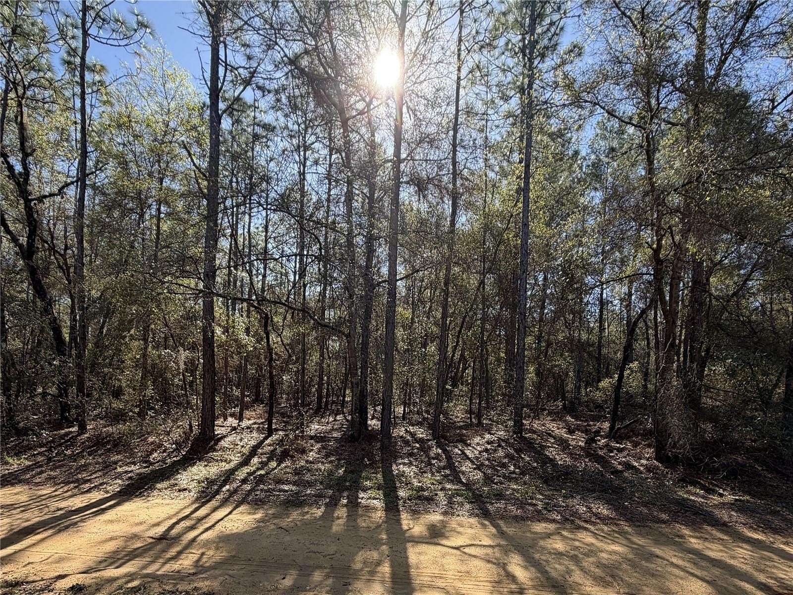 0.18 Acres of Residential Land for Sale in Interlachen, Florida
