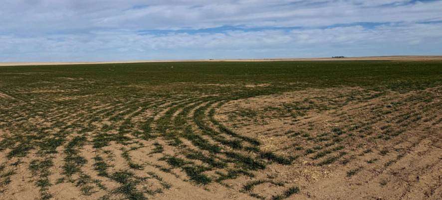 214 Acres of Agricultural Land for Sale in Cheyenne Wells, Colorado