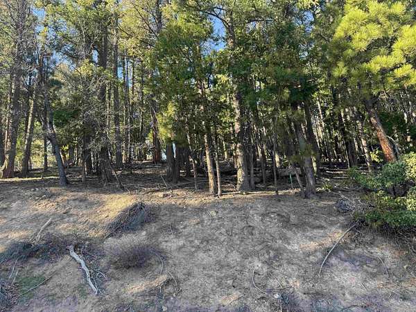 0.47 Acres of Residential Land for Sale in Quincy, California