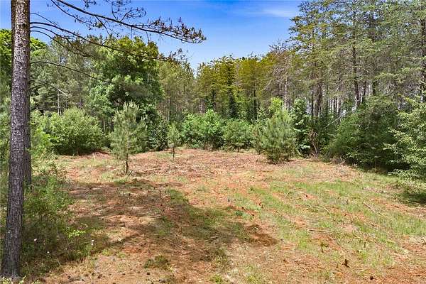 51.3 Acres of Recreational & Residential Land for Sale in Westminster, South Carolina