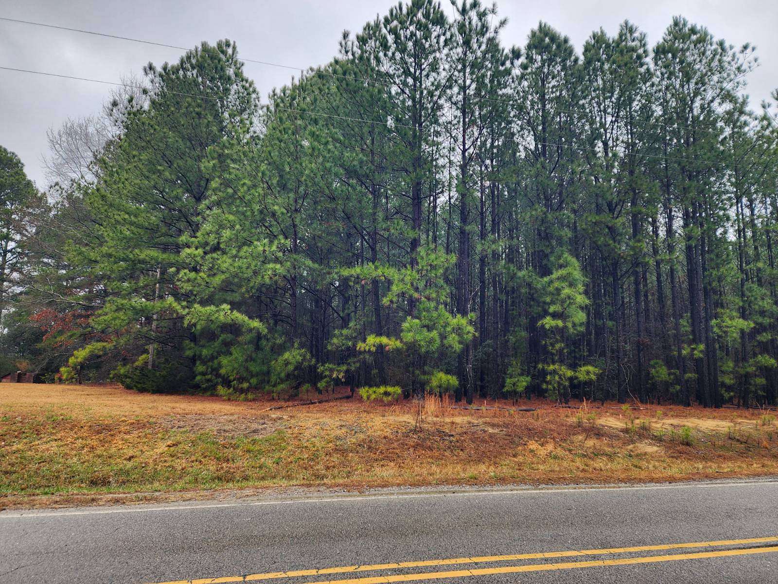 2.38 Acres of Land for Auction in Robbins, North Carolina