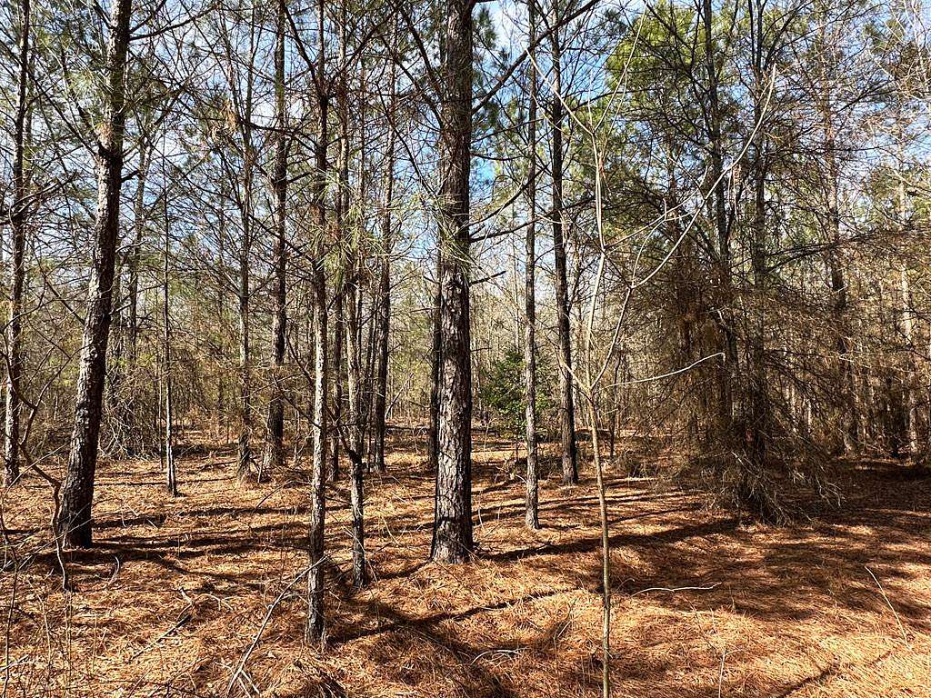 140 Acres of Land for Sale in Keysville, Georgia