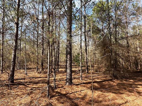 140 Acres of Land for Sale in Keysville, Georgia