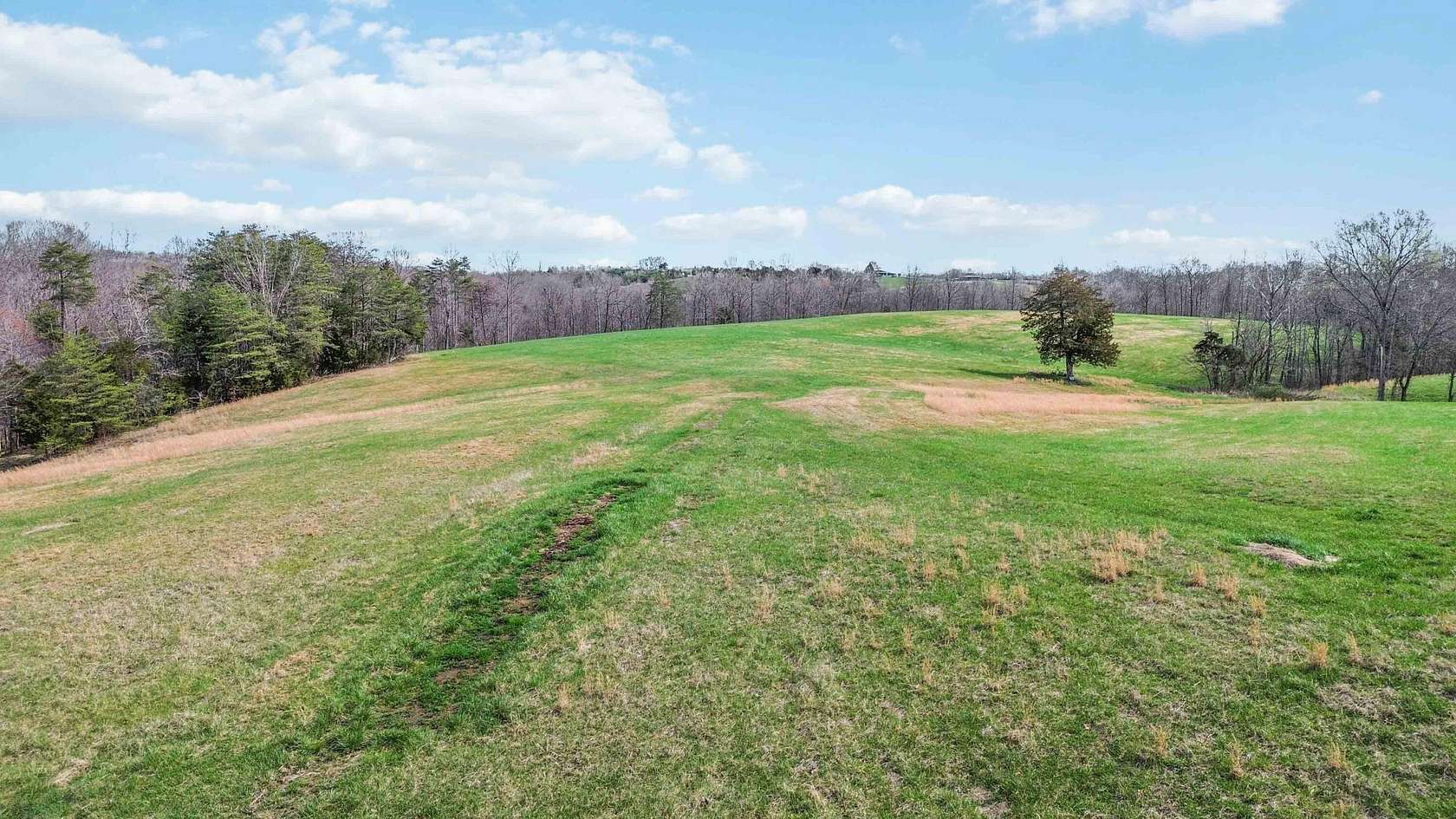 40 Acres of Agricultural Land for Sale in Nancy, Kentucky