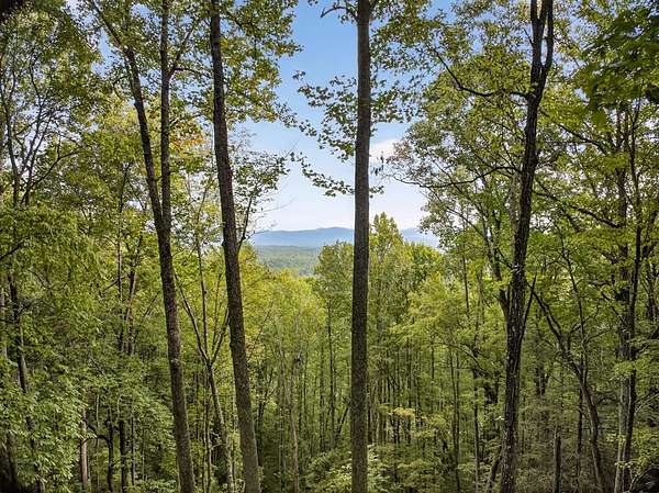 67.5 Acres of Recreational Land for Sale in Murphy, North Carolina