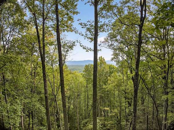 67.5 Acres of Recreational Land for Sale in Murphy, North Carolina