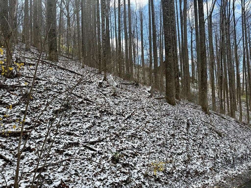 0.84 Acres of Residential Land for Sale in Balsam, North Carolina