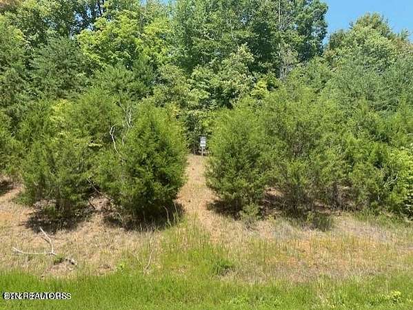 0.62 Acres of Residential Land for Sale in New Tazewell, Tennessee