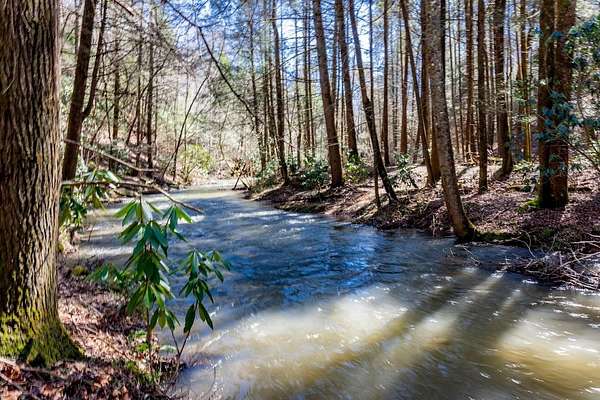 18 Acres of Land with Home for Sale in Spring City, Tennessee