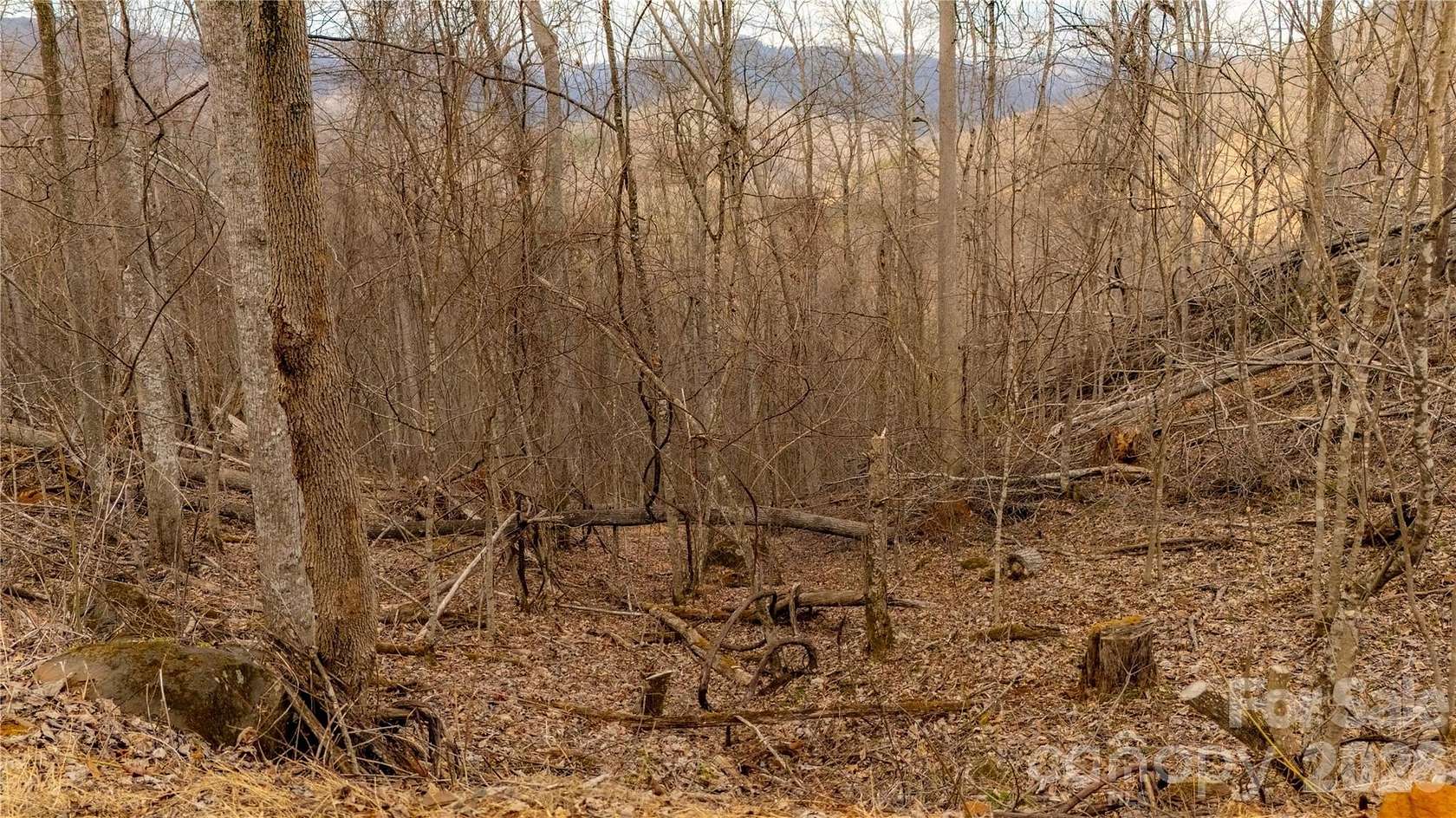 3.3 Acres of Land for Sale in Bakersville, North Carolina