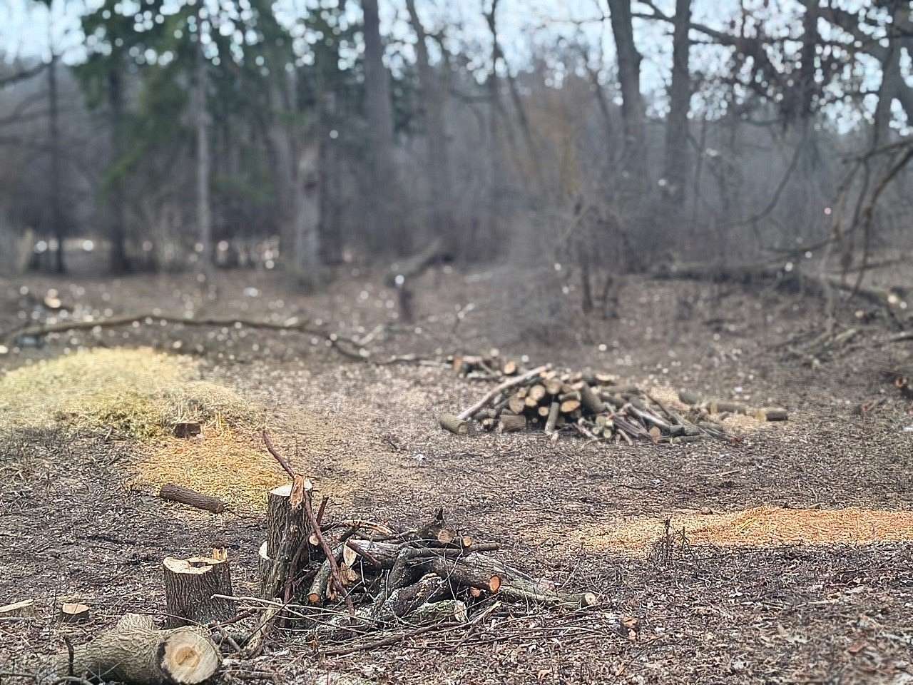 0.25 Acres of Residential Land for Sale in Fox River Grove, Illinois