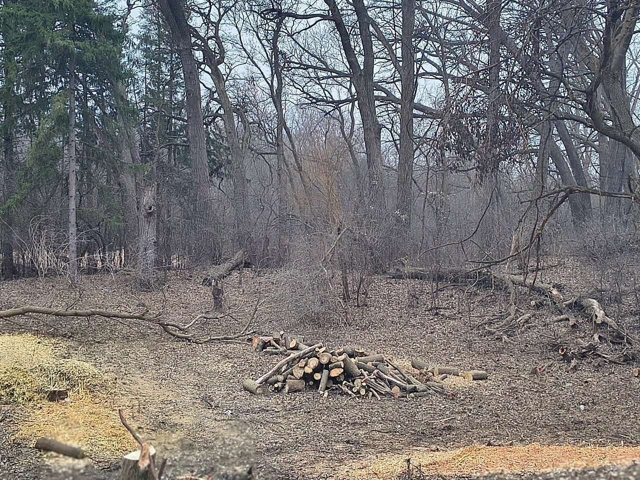 0.22 Acres of Residential Land for Sale in Fox River Grove, Illinois