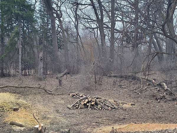 0.22 Acres of Residential Land for Sale in Fox River Grove, Illinois