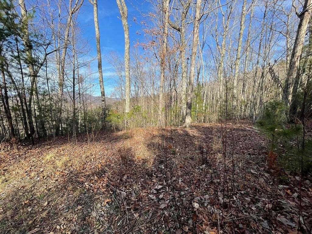 1 Acre of Land for Sale in Hiawassee, Georgia