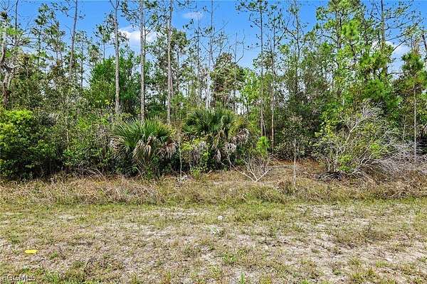 0.31 Acres of Residential Land for Sale in Lehigh Acres, Florida