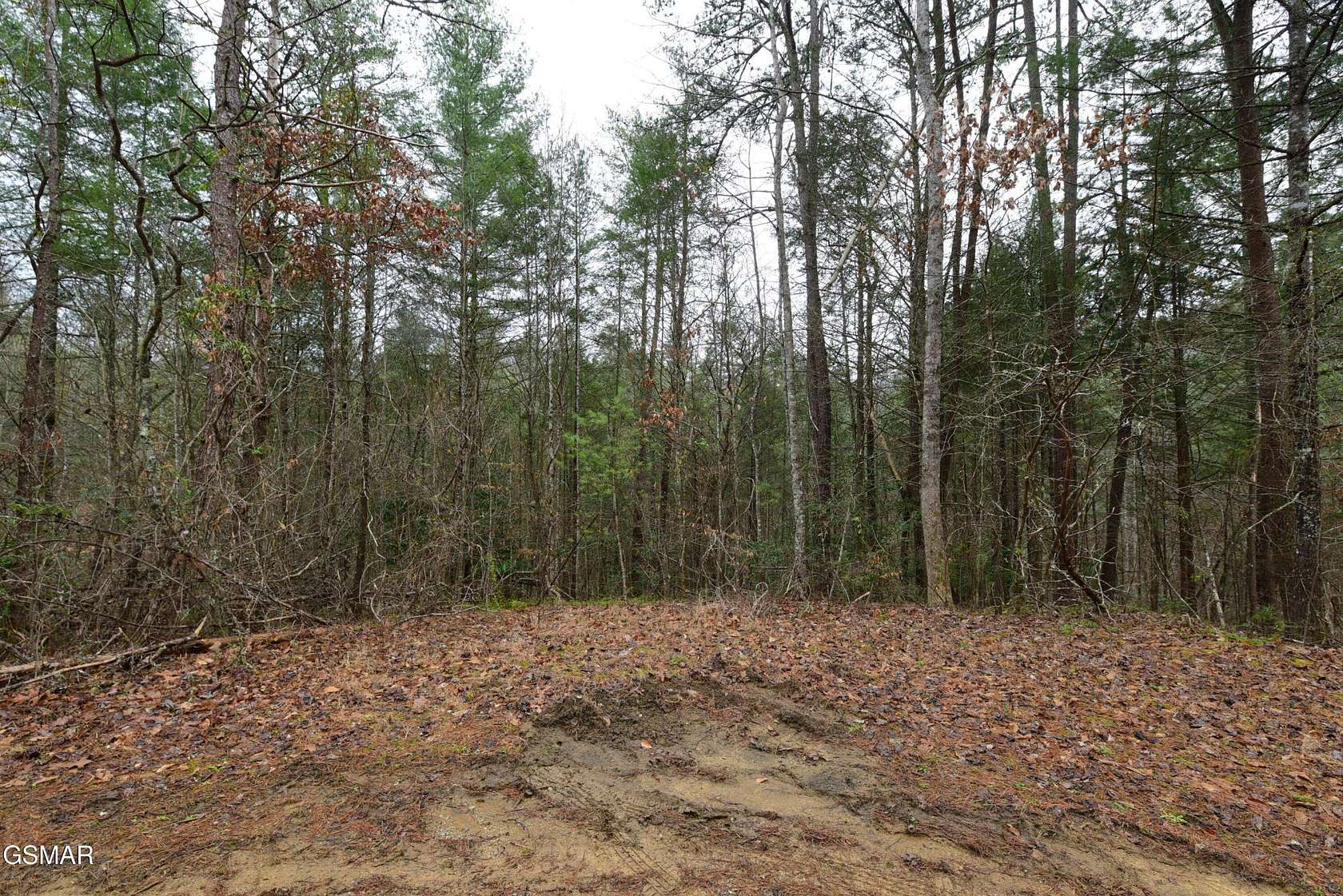 3 Acres of Residential Land for Sale in Sevierville, Tennessee
