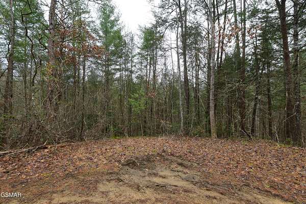 3 Acres of Residential Land for Sale in Sevierville, Tennessee