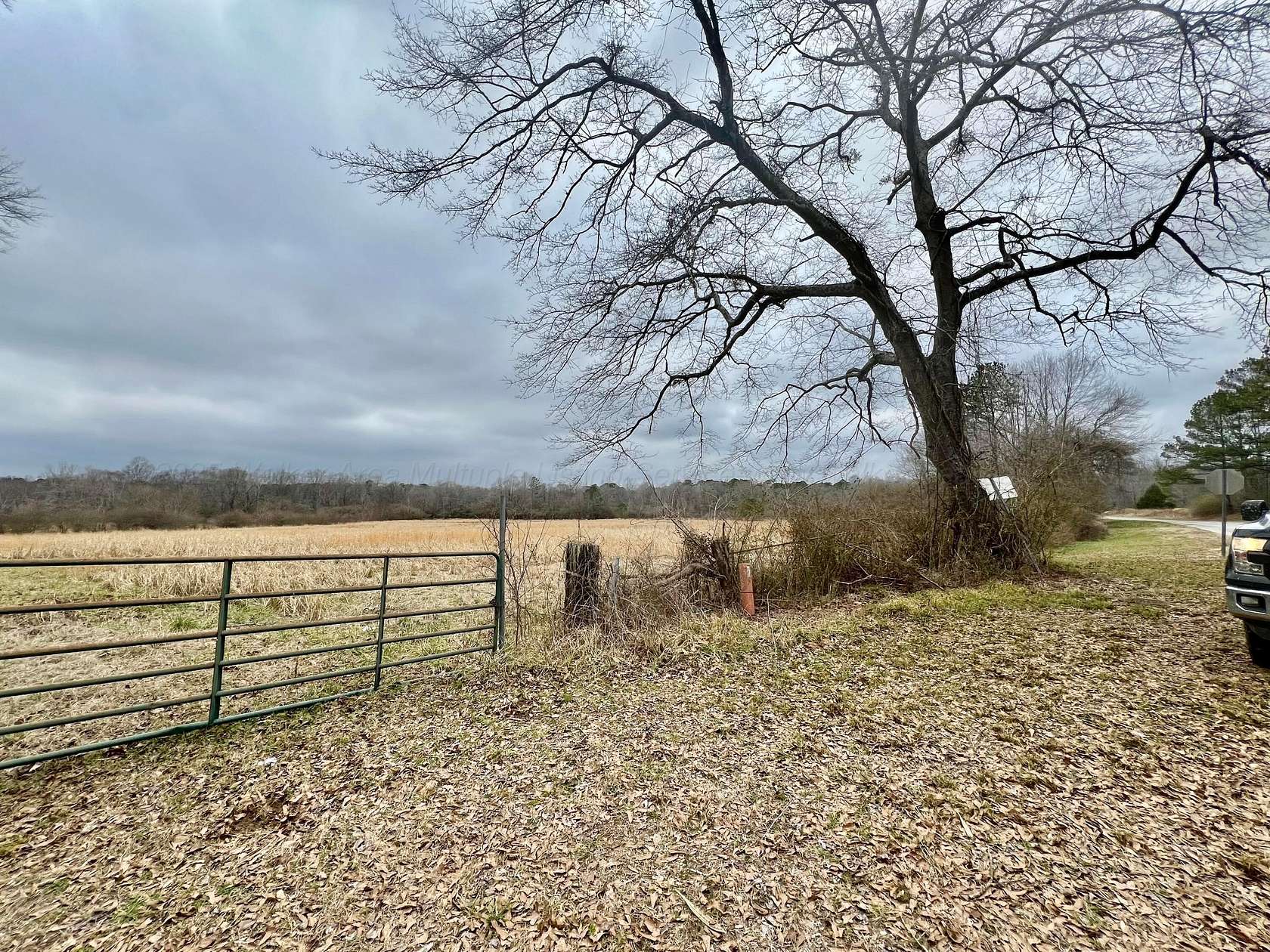 Residential Land for Sale in Winfield, Alabama