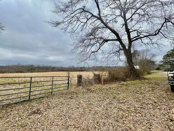 Residential Land for Sale in Winfield, Alabama