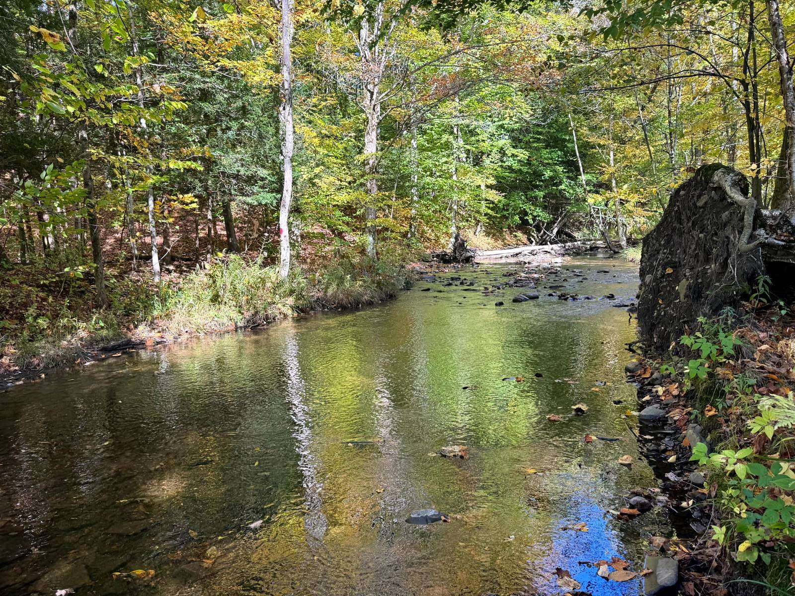 20.1 Acres of Recreational & Residential Land for Sale in Orwell, New York