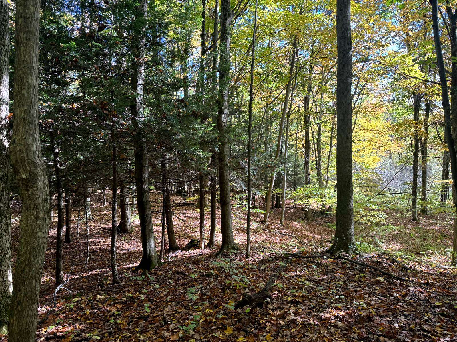 10 Acres of Recreational Land for Sale in Orwell, New York