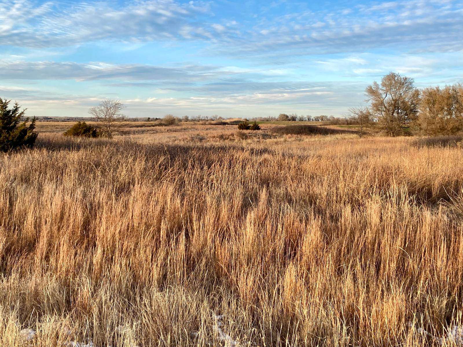 147 Acres of Land for Sale in Turon, Kansas