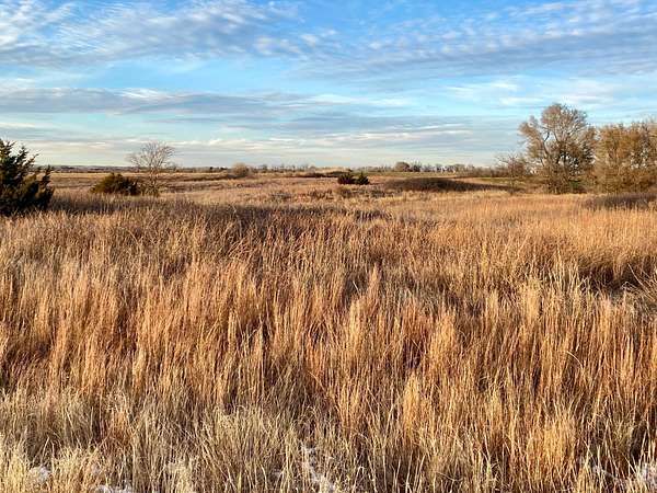 147 Acres of Land for Sale in Turon, Kansas