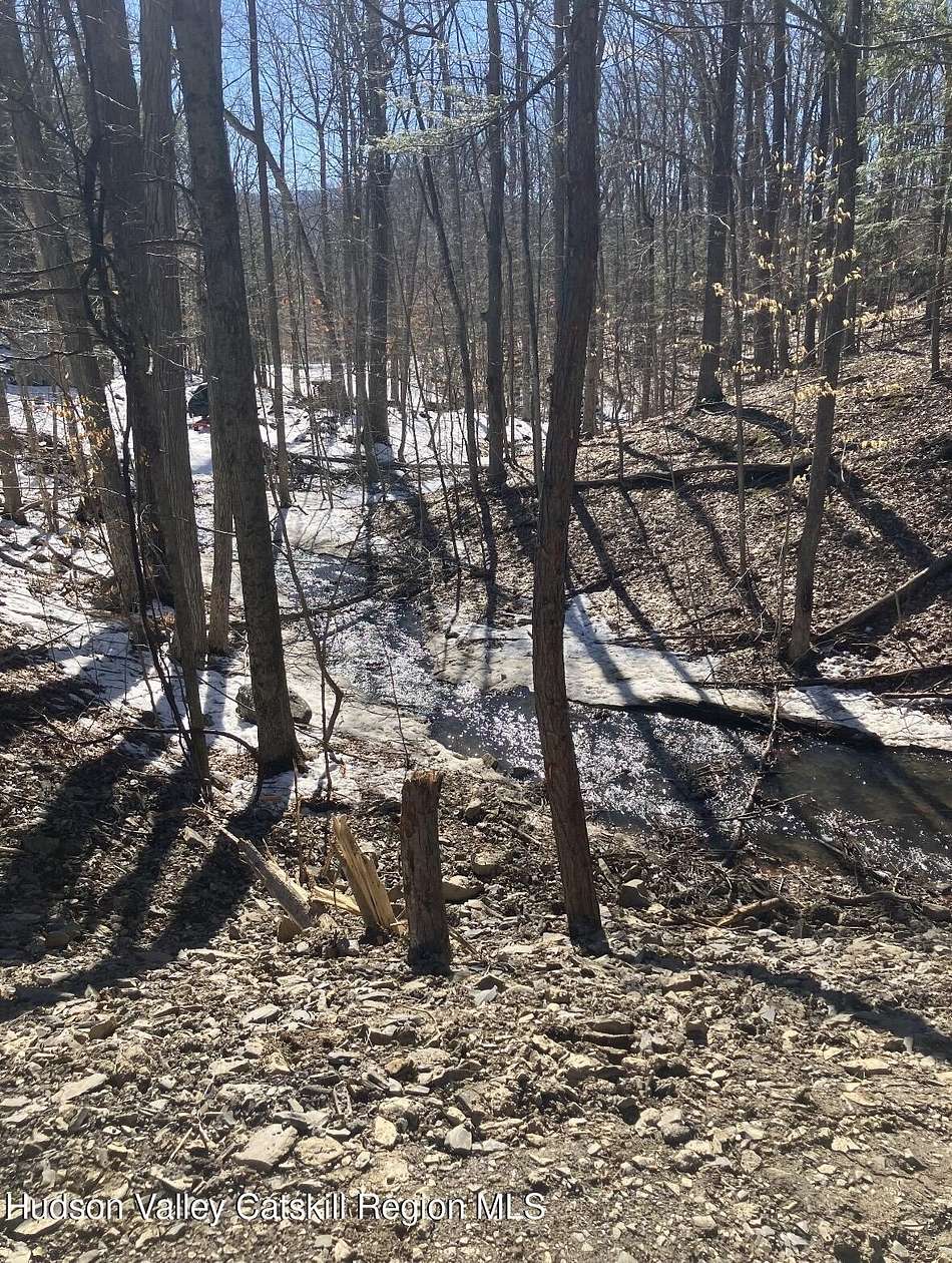 6.18 Acres of Residential Land for Sale in Freehold, New York