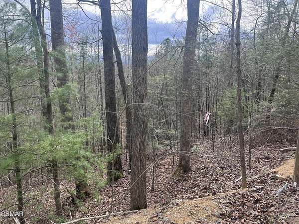 1.47 Acres of Residential Land for Sale in Sevierville, Tennessee