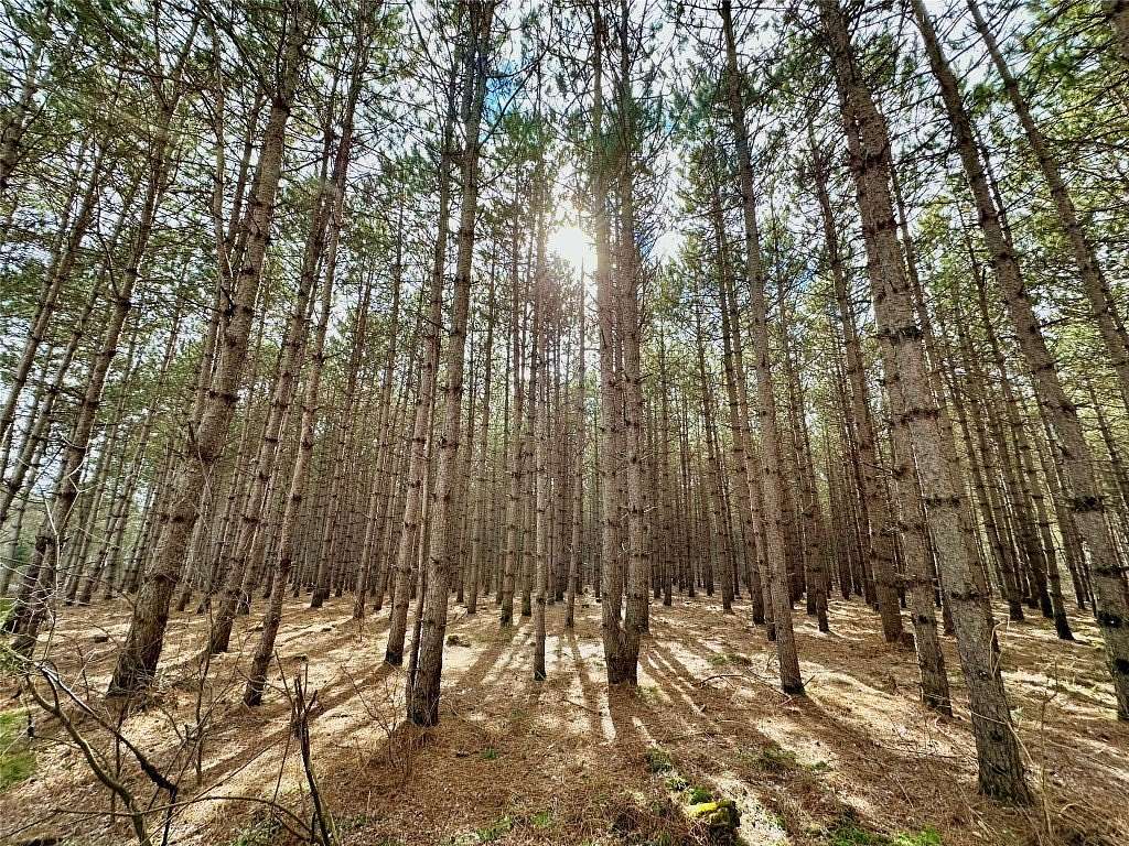 5 Acres of Residential Land for Sale in Colfax, Wisconsin