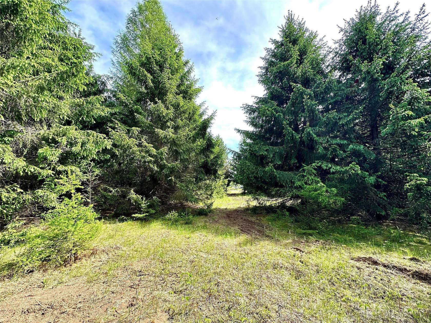 6 Acres of Residential Land for Sale in Colfax, Wisconsin