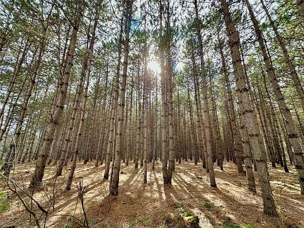 5 Acres of Residential Land for Sale in Colfax, Wisconsin