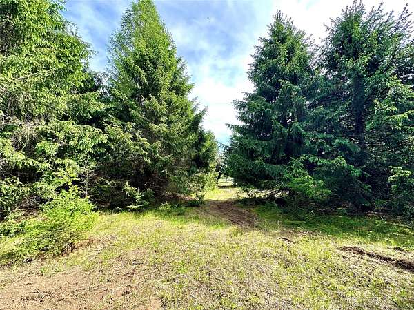 6 Acres of Residential Land for Sale in Colfax, Wisconsin