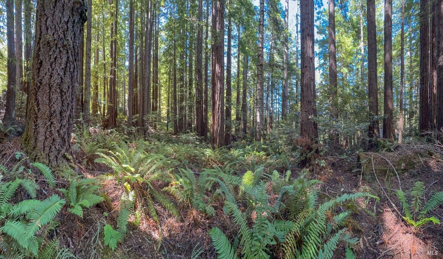 0.39 Acres of Residential Land for Sale in Sea Ranch, California