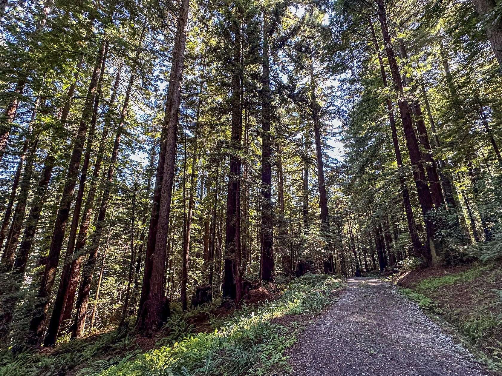 20 Acres of Recreational & Residential Land for Sale in Rio Dell, California