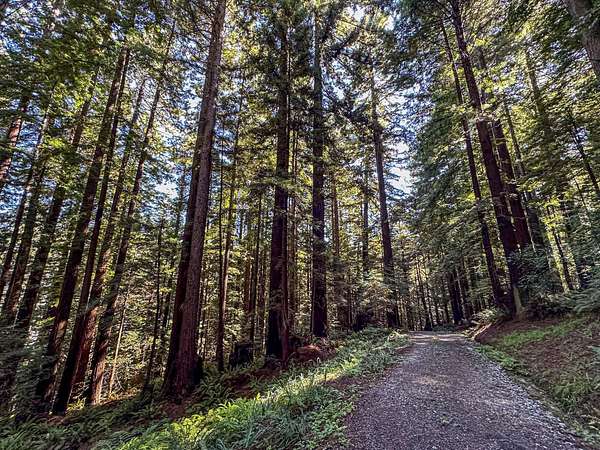 20 Acres of Recreational & Residential Land for Sale in Rio Dell, California