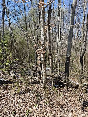 Residential Land for Sale in Smithville, Tennessee