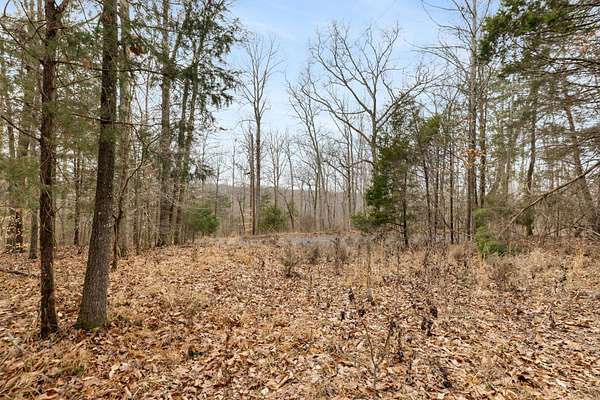 10 Acres of Recreational & Residential Land for Sale in White Bluff, Tennessee